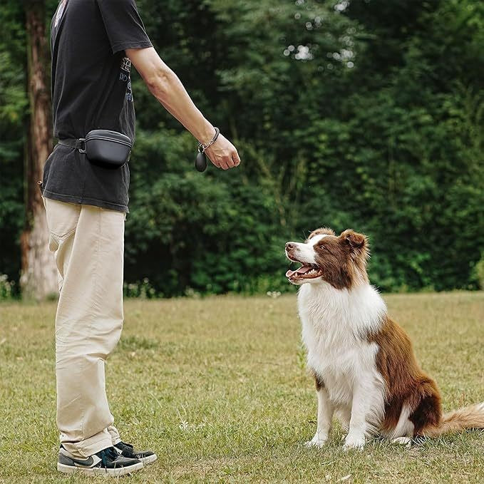 Silicone Outdoor Portable Dog Training Waist Bag