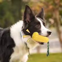Squeaky Corn Shape Dog Toothbrush Molar Chew Stick, Interactive Dental Care Dog Toy, Pet Supplies for Puppy Teeth Cleaning Play