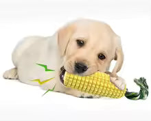 Squeaky Corn Shape Dog Toothbrush Molar Chew Stick, Interactive Dental Care Dog Toy, Pet Supplies for Puppy Teeth Cleaning Play