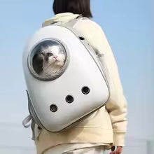Pet Out Portable Transparent Cat Bag Cat Breathable Space Capsule Double Shoulder Cat Bag Large Capacity Side Open Pet Bag