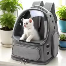 2026 New Transparent Pet Carrier Backpack Cat Accessories Outdoor Pet Shoulder Bag for Cats Small Dogs Breathable Pet Supplies